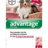 Bayer Advantage 250 Spot-On Solution Dogs 4 X 2.5ml Pipette 10-25kg -PetHaven Sales Store 0000504 bayer advantage 250 spot on solution dogs 4 x 25ml pipette 10 25kg 600