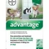 Bayer Advantage 40 Spot-On Solution 4 X 0.4ml Pipette 0-4kg -PetHaven Sales Store 0000505 bayer advantage 40 spot on solution 4 x 04ml pipette 0 4kg 600