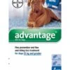 Bayer Advantage 400 Spot-On Solution Dogs 4 X 4ml Pipette 25kg Plus 2 Bayer Advantage 400 Spot-On Solution Dogs 4 X 4ml Pipette 25kg Plus -PetHaven Sales Store 0000506 bayer advantage 400 spot on solution dogs 4 x 4ml pipette 25kg plus 600