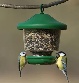 Jacobi Jayne My Favourites Feeder 4 Jacobi Jayne My Favourites Feeder - Image 2