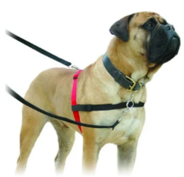 Company Of Animals Halti Harness Large 3 Company Of Animals Halti Harness Large