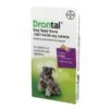 Drontal Plus For Dogs Bone Shaped 6 Pack -PetHaven Sales Store 0003259 drontal plus for dogs bone shaped 6 pack 600