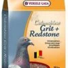 VERSELE-LAGA Versele Laga Colombine Grit & Redstone 20kg -PetHaven Sales Store 0006287 versele laga colombine grit redstone 20kg 600
