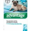 Advantage 100 Spot-On Solution Dogs 4 X 1.0ml Pipette 4-10kg -PetHaven Sales Store 0013168 advantage 100 spot on solution dogs 4 x 10ml pipette 4 10kg 600