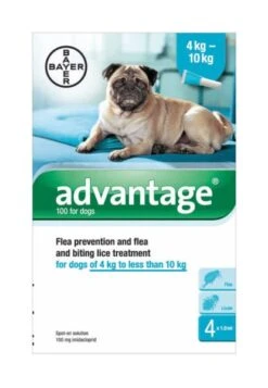 Advantage 100 Spot-On Solution Dogs 4 X 1.0ml Pipette 4-10kg