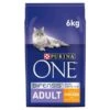 Purina ONE Adult Chicken And Whole Grains Dry Cat Food 6kg 1 Purina ONE Adult Chicken And Whole Grains Dry Cat Food 6kg -PetHaven Sales Store 0021739 purina one adult chicken and whole grains dry cat food 6kg 600
