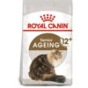 Royal Canin Cat - Ageing 12+ 2kg -PetHaven Sales Store 0021998 royal canin cat ageing 12 2kg