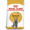 Royal Canin Cat - British Shorthair 4Kg 1 Royal Canin Cat - British Shorthair 4Kg -PetHaven Sales Store 0022006 royal canin cat british shorthair 4kg