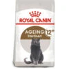 Royal Canin Cat - Senior Ageing Sterilised 12+ 2kg -PetHaven Sales Store 0022079 royal canin cat senior ageing sterilised 12 2kg