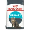 Royal Canin Cat - Urinary Care 2kg -PetHaven Sales Store 0022085 royal canin cat urinary care 2kg