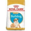 Royal Canin Dog - Bulldog Puppy 12kg -PetHaven Sales Store 0022092 royal canin dog bulldog puppy 12kg