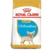 Royal Canin Dog - Chihuahua Puppy 1.5kg -PetHaven Sales Store 0022096 royal canin dog chihuahua puppy 15kg