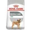 Royal Canin Dog - Mini Dental Care 3kg -PetHaven Sales Store 0022157 royal canin dog mini dental care 3kg
