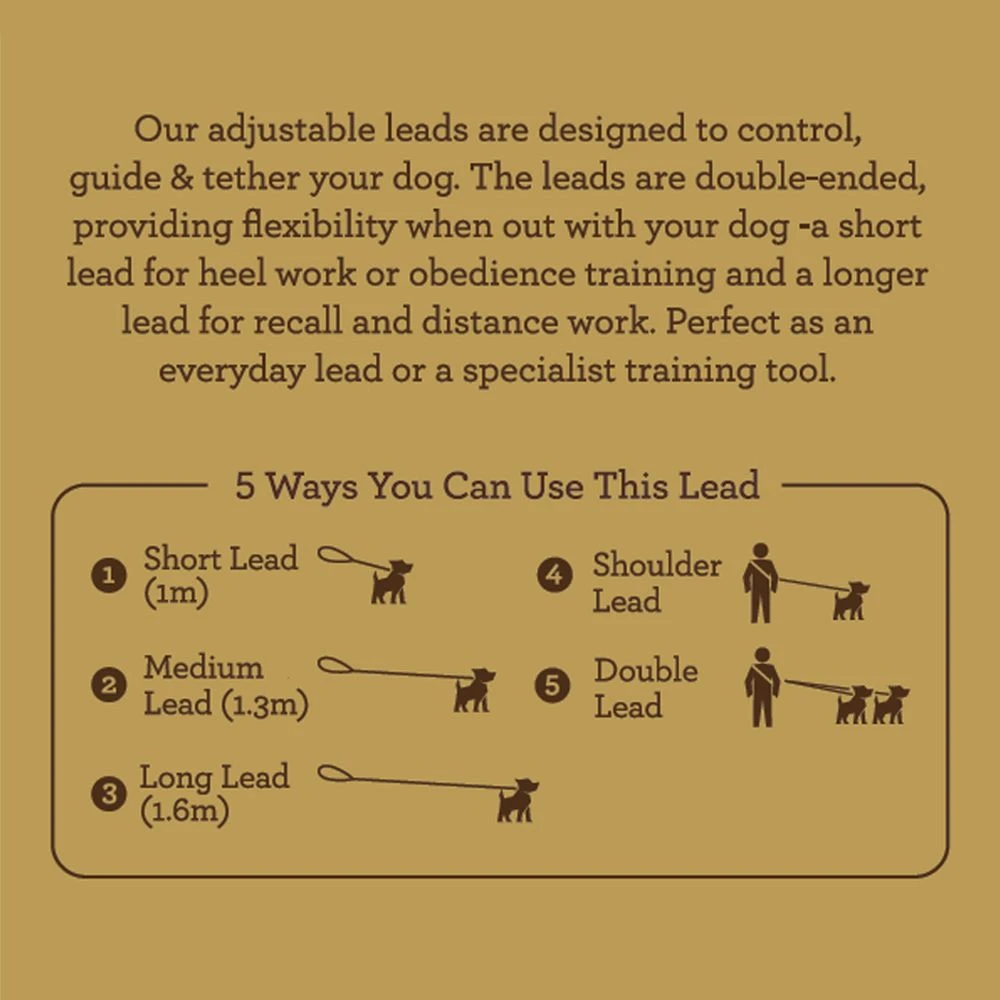 Great&Small Great & Small Country Adjustable Lead Forest Green 2.3m 4 Great&Small Great & Small Country Adjustable Lead Forest Green 2.3m - Image 2