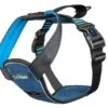 Company Of Animals CarSafe Crash Tested Harness Large -PetHaven Sales Store 0027573 company of animals carsafe crash tested harness large 600