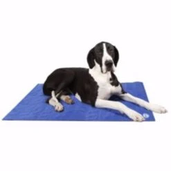 Scruffs Cooling Mat Blue 120x75cm XL