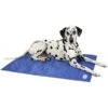 Scruffs Cooling Mat Blue 92x69cm L -PetHaven Sales Store 0029161 scruffs cooling mat blue 92x69cm l 600
